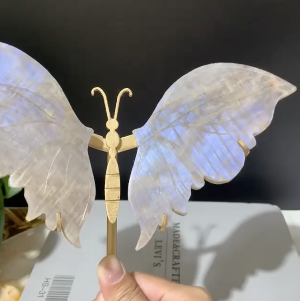 微信图片_20240403093703